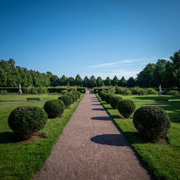 Paysagiste : entretien et création de jardins sur mesure
